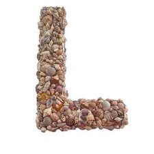 Letter L Covered Seashells Oregon Coast Large Handmade Secure Beach 17  x 11  