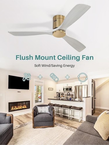 Transitional 52 Inch Indoor/Outdoor Ceiling Fan – Remote, Energy-Saving Design - Picture 4 of 10