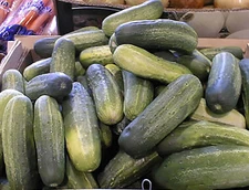 Cucumber Carolina    250 seeds