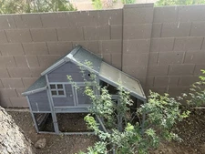 Two Chickens and Coop