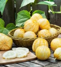 20 Organic Lemon Cucumber -20 Seeds -Heirloom NON-GMO, FREE SHIPPING
