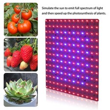 169LED Plant Grow Light Full Spectrum Plant UV Veg Lamp For Indoor Hydroponic US