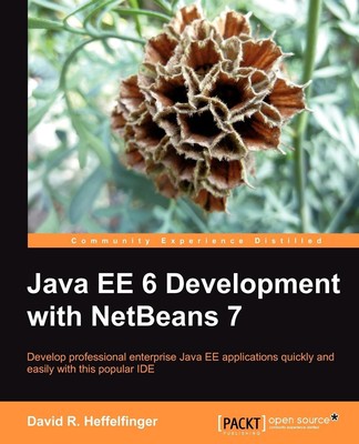 David Heffelfinger | Java Ee 6 Development with Netbeans 7 | Taschenbuch (2011)