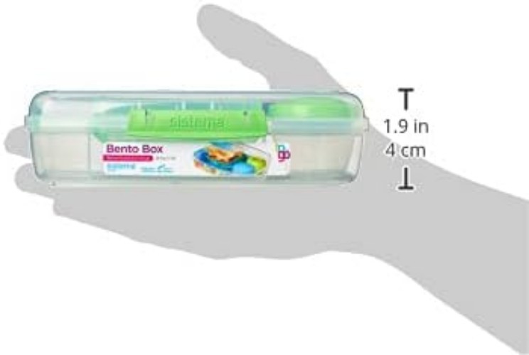 Large Clear Plastic Bento Box with Compartments for Meal Prep