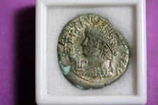  on The Hot Collector