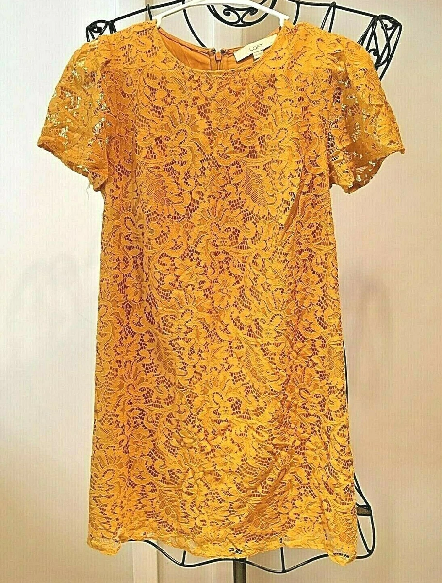 Loft lace cheap dress