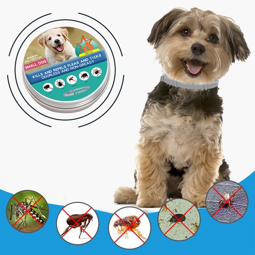 Adjustable Anti Flea And Tick Collar 8 Month Protection For Large Small Dogs Cat - Bild 24 von 30