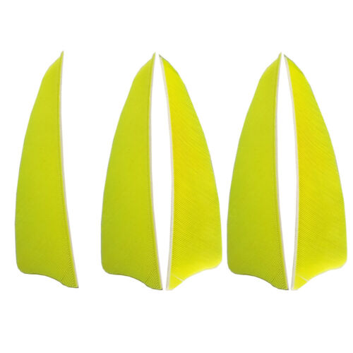 50pcs 3" Archery Arrow Feather Natural Turkey Fletches Fletching Right Left Wing - Picture 8 of 19