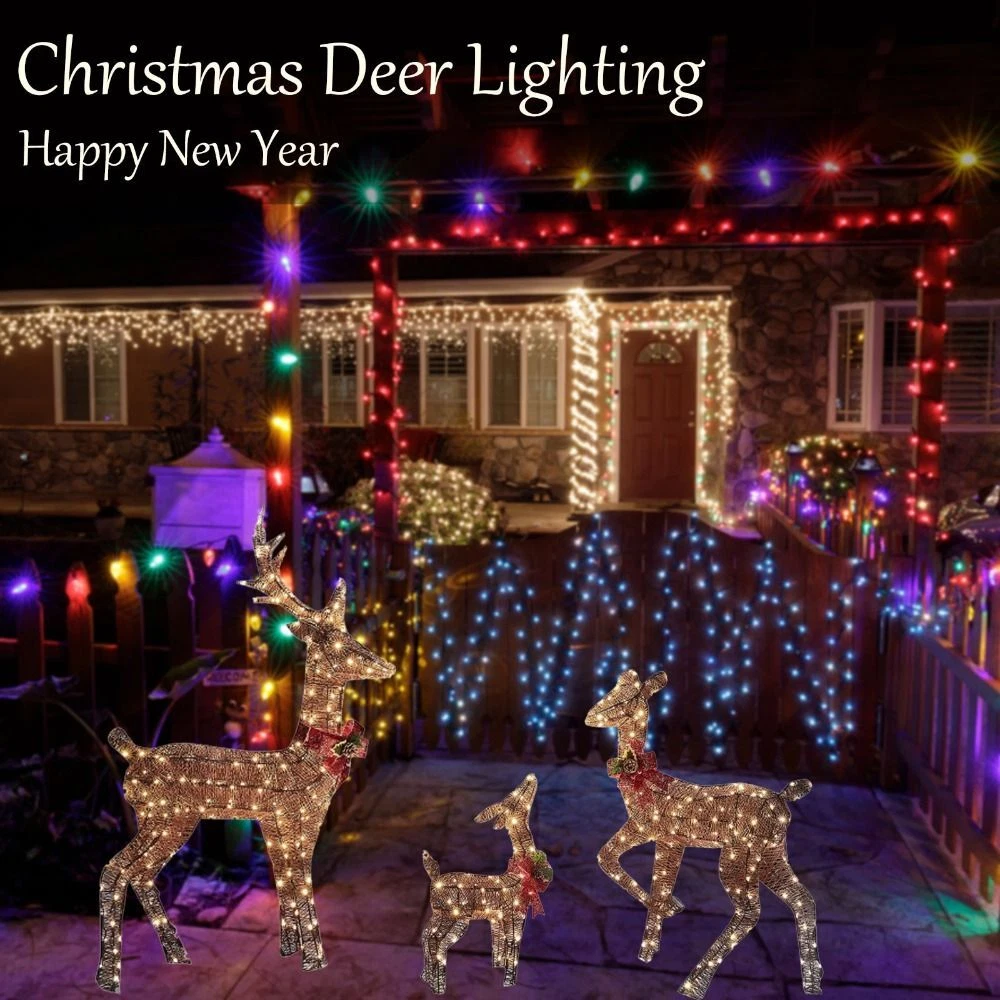 Garden cheap ornament lights