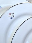 Tirschenreuth "TIR141" Set of 4 Dinner Plates — photo 3