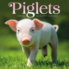 Carousel Calendars,  Piglets 2026 Mini Wall Calendar, 7'' X 7'', 16-Month Calend