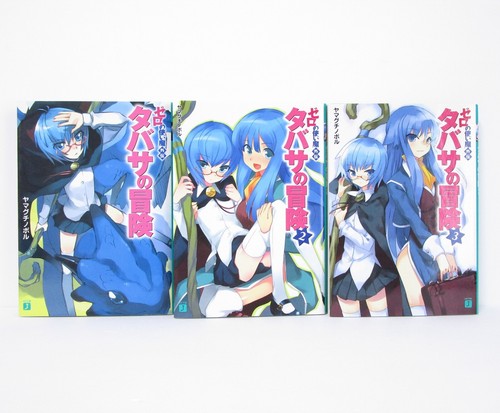 The Familiar of Zero Vol.1-22 + Gaiden Vol.1-3 Light Novel Set Japanese Edition - 第 5/5 張圖片