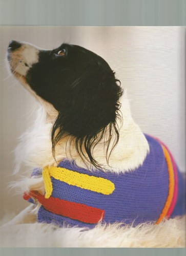 Hundepullover Strickmuster Doggy Strickmäntel Anna Tillman P28 - Bild 14 von 23