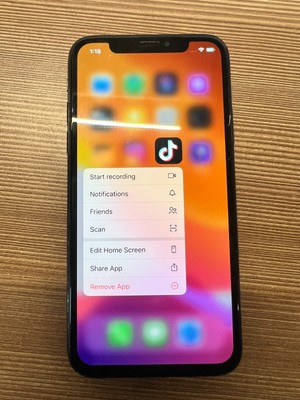 Unlocked Apple iPhone 10 X , Black  64GB with Fully Working TIKTOK APP