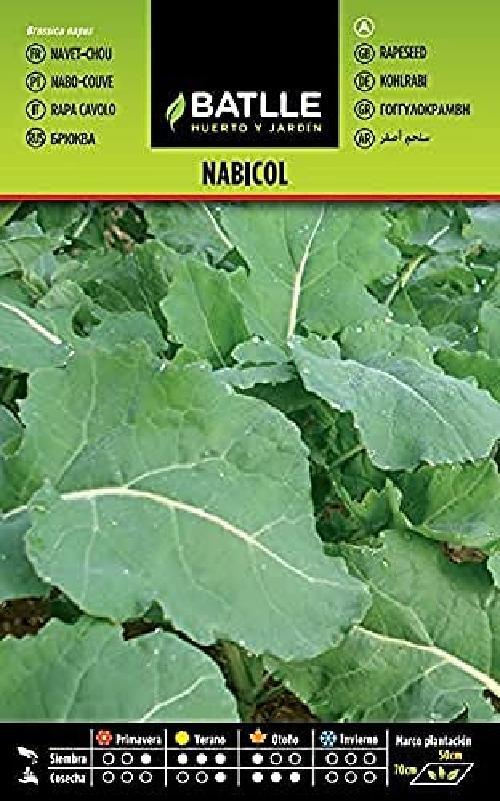 Batlle Vegetable Seeds   Turnips   Seeds