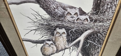 Guy Coheleach Limited Edition Hand Signed Print “Young Great Horned Owls” - Picture 2 of 9