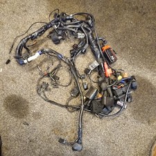 Genuine Triumph Speed Triple 1050 2012-2016 Complete Wiring loom b56
