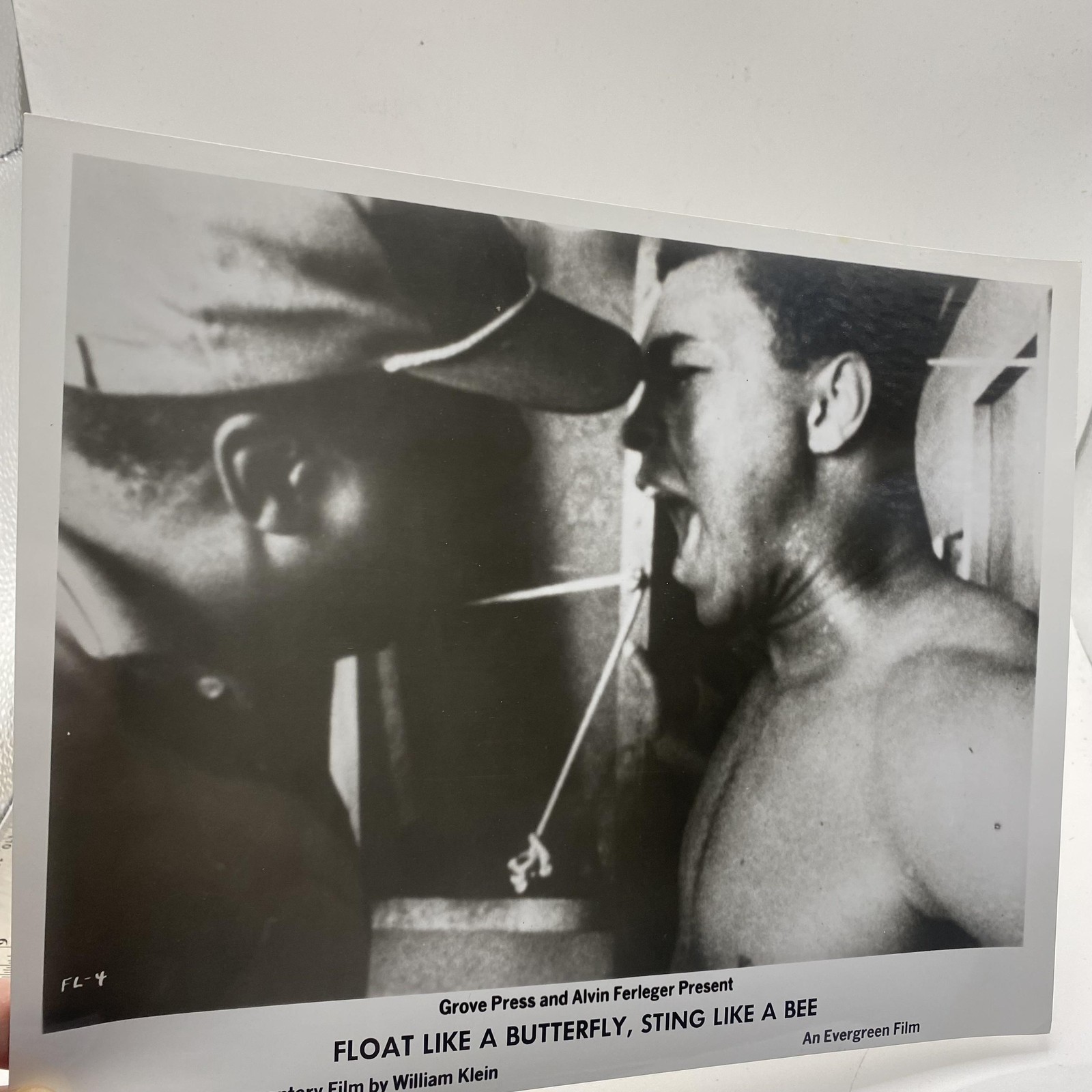 Float Like A Butterfly Sting Like A Bee Boxing B&W Poster US