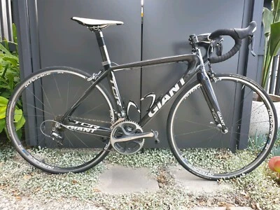 giant tcr gumtree
