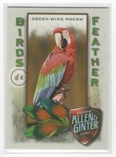 2021 Topps Allen & Ginter Birds Of A Feather Green-Wing Macaw #BOF-8