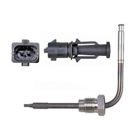Sensor Abgastemperatur 530 Mm Kabel 2-Polig Metzger FüR U.A. Fiat Ducato