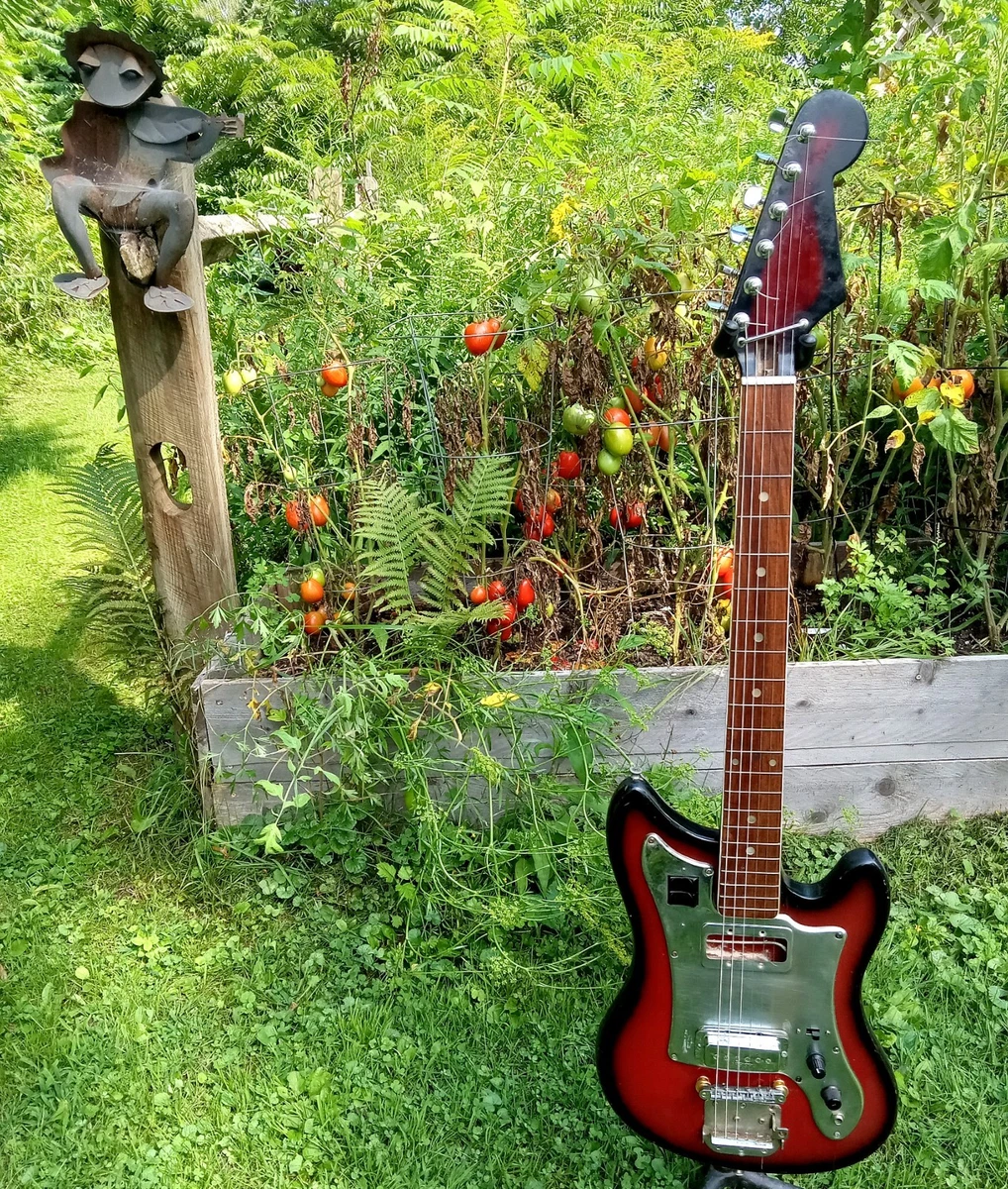 TEISCO EP-15 ジャンク Teisco Electric Guitars for sale | eBay