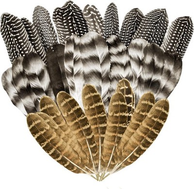 30Pcs Natural Turkey Feathers, 5.3-7 Inch Craft Feathers Pheasant for Grey 
