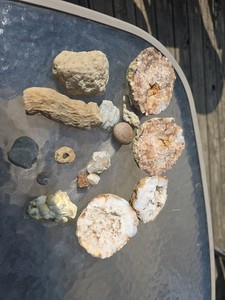 14 Piece Indiana Mineral And Fossils Set