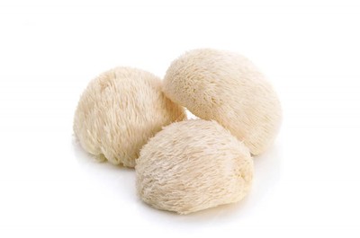 Frischer Bio Igelstachelbart   Pom Pom Blanc - 1kg