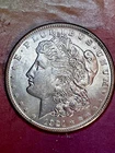 1921 S Morgan Dollar    CH BU +  clearance was $150 now $99