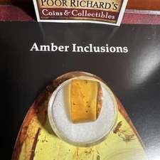 60+ Million Years Old! Genuine Polished Baltic Amber Fossil Gemstone. 18mm! A133