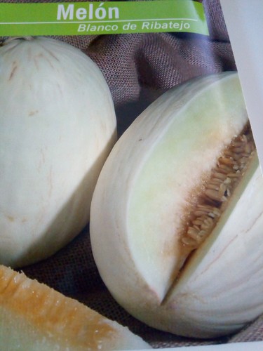 10 g de semillas de Melon Blanco varidad Ribatejo en sobre original certificadas - Imagen 3 de 4