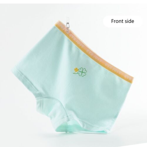 Girls Underwear Cotton Boxer Briefs Comfort Breathable Shorts Briefs For 2-16 YR - Picture 42 of 151