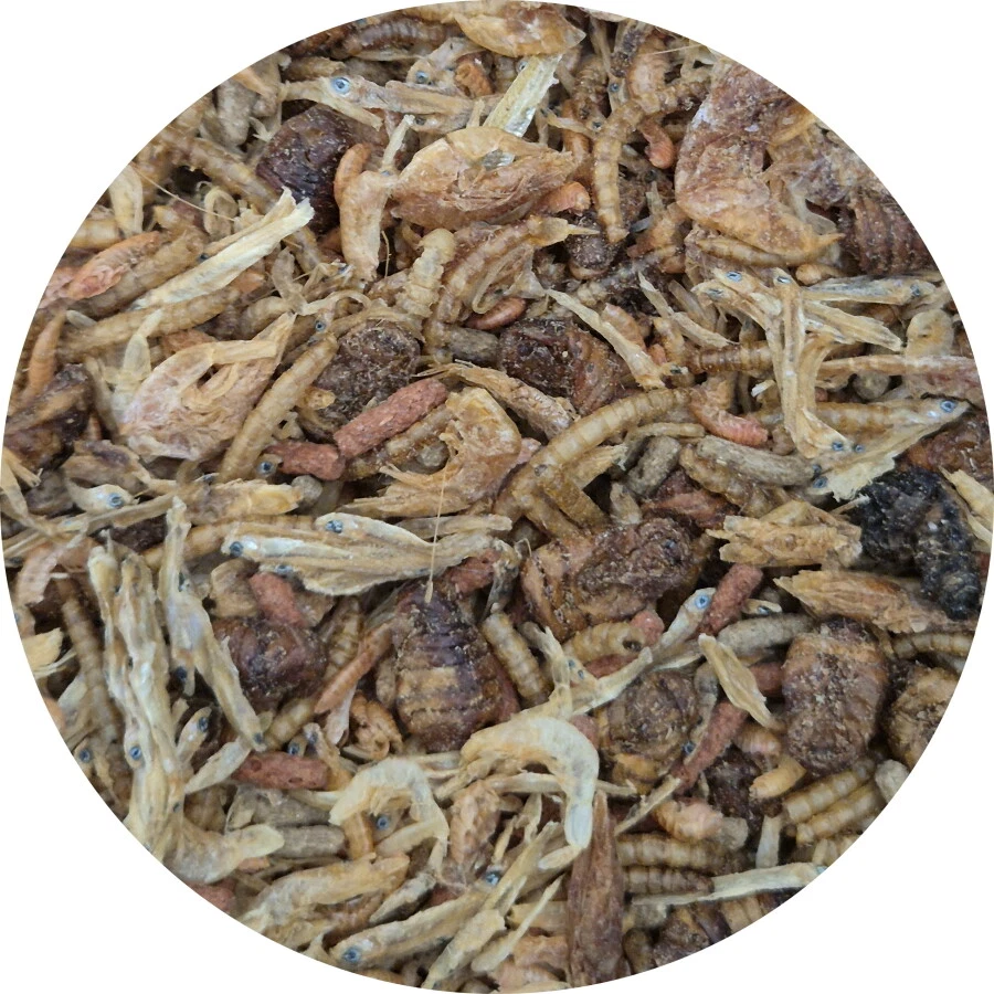 FISCHFUTTERTREFF Reptilienmix aus 8 Sorten Trockenfutter Reptilienfutter Schildkrötenfutter 10 l