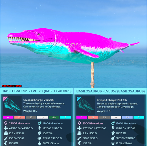 Top Stat Basilosaurus Mating Pair - Colour Options - Ark Ascended Crossplay PVE - Picture 12 of 13