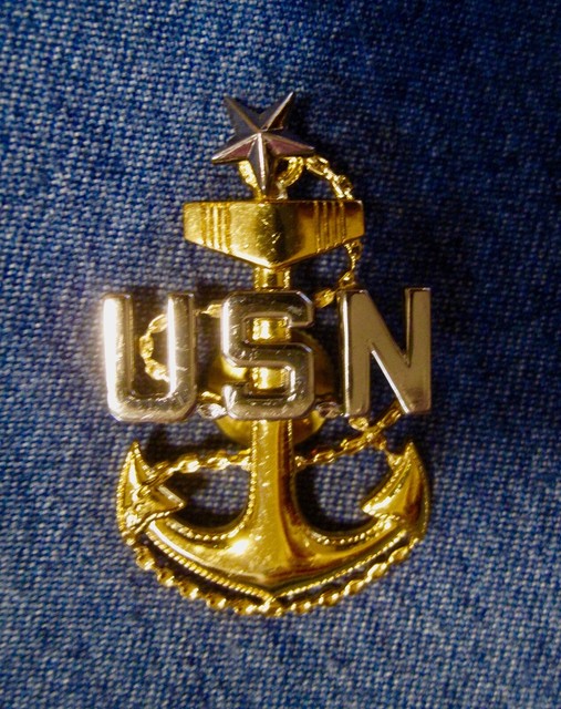 USN Navy Pin Badge Insignia Anchor Star Brass Stainless eBay
