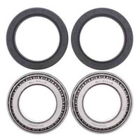 Wheel Bearing Kit Rear Can-Am DS650 00-07