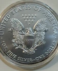 2011 Walking Liberty American Eagle Silver Dollar Coin 1oz