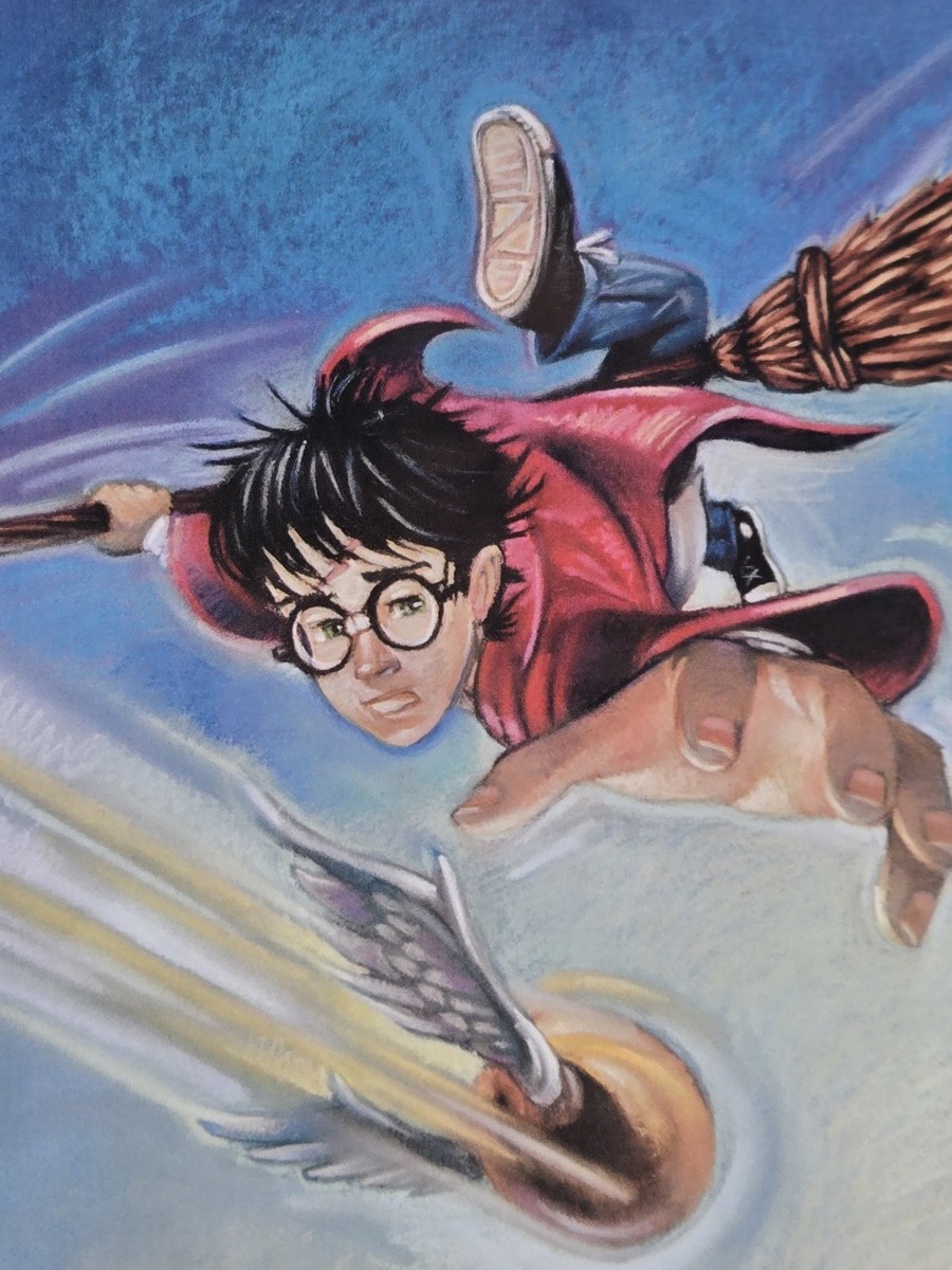 Harry Potter Limited Edition Commemorative Lithograph and Pin,#547