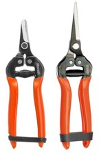 Forbici cogliuva PER VENDEMMIA cesoie cogli uva OFFERTA forbice per vendemmiare