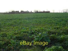 Photo 6x4 Norwood Manor Eastchurch Across a field of rape from Eastchurch c2007