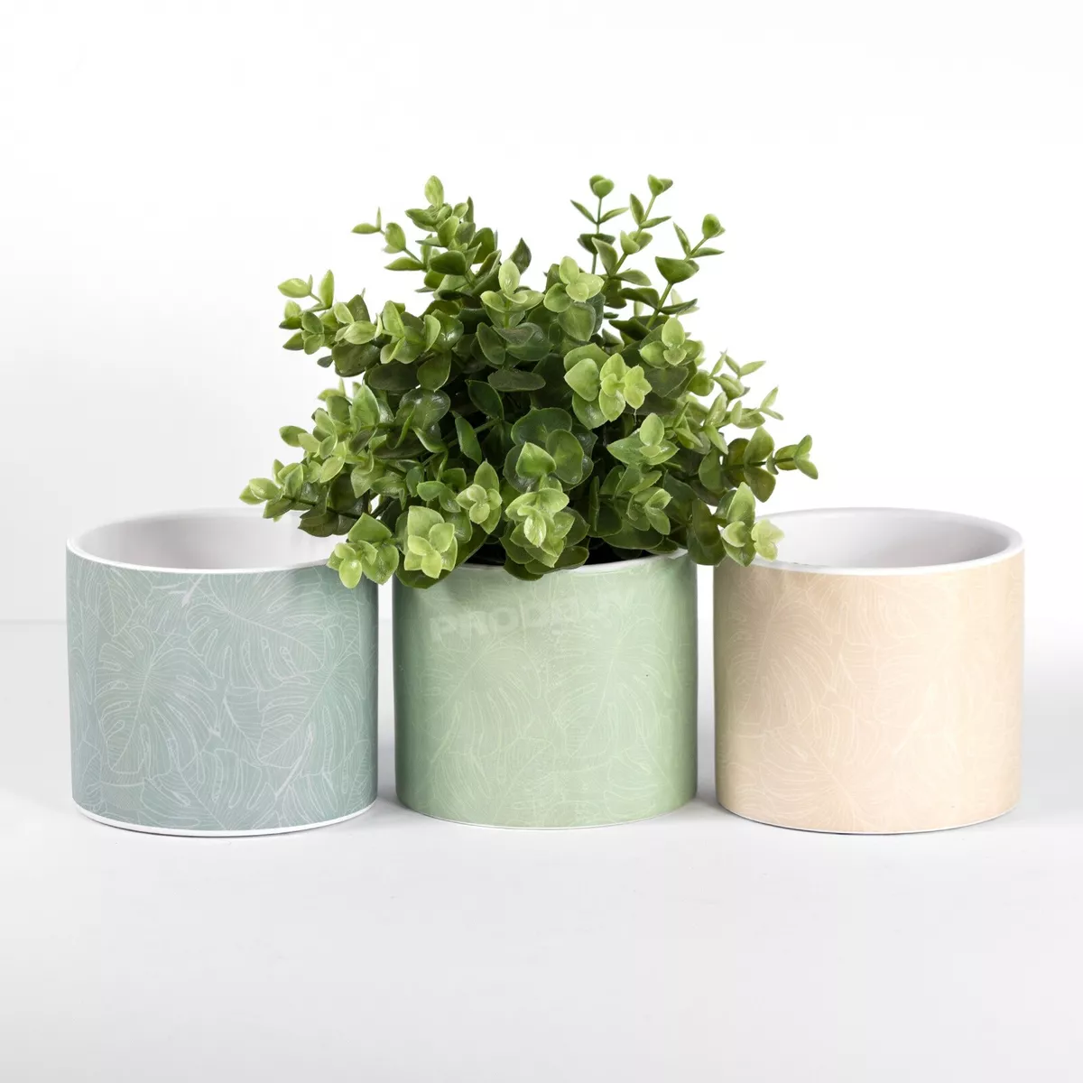 12cm plant pot online