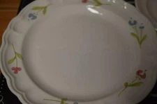 Pfaltzgraff GARLAND 10" Dinner Plates Many Other Items Available Too