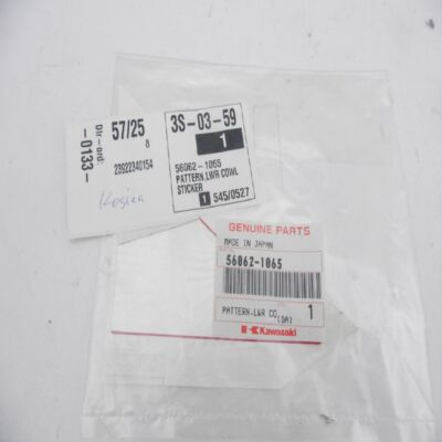 Kawasaki ZX-9 B Ez: N.Lettering Sticker 56062-1065 10818 | eBay UK