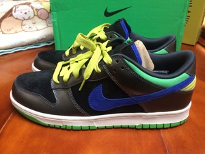 nyx dunk low