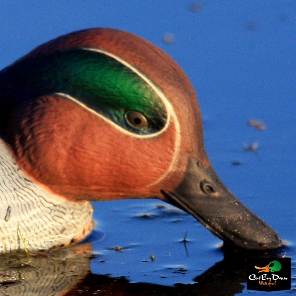 FREE SHIPPING* Pro-Grade Series Wood Duck Decoys By Greenhead Gear