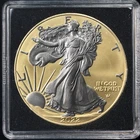 2022 Silver American Eagle $1 Ruthenium and Gold Finish #14/50 OGP