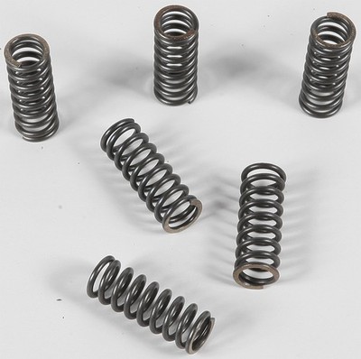 EBC Clutch Spring Set - Clutch Springs - CSK45