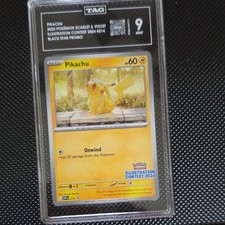 Pikachu Illustration Contest 2024 214 Prices | Pikachu