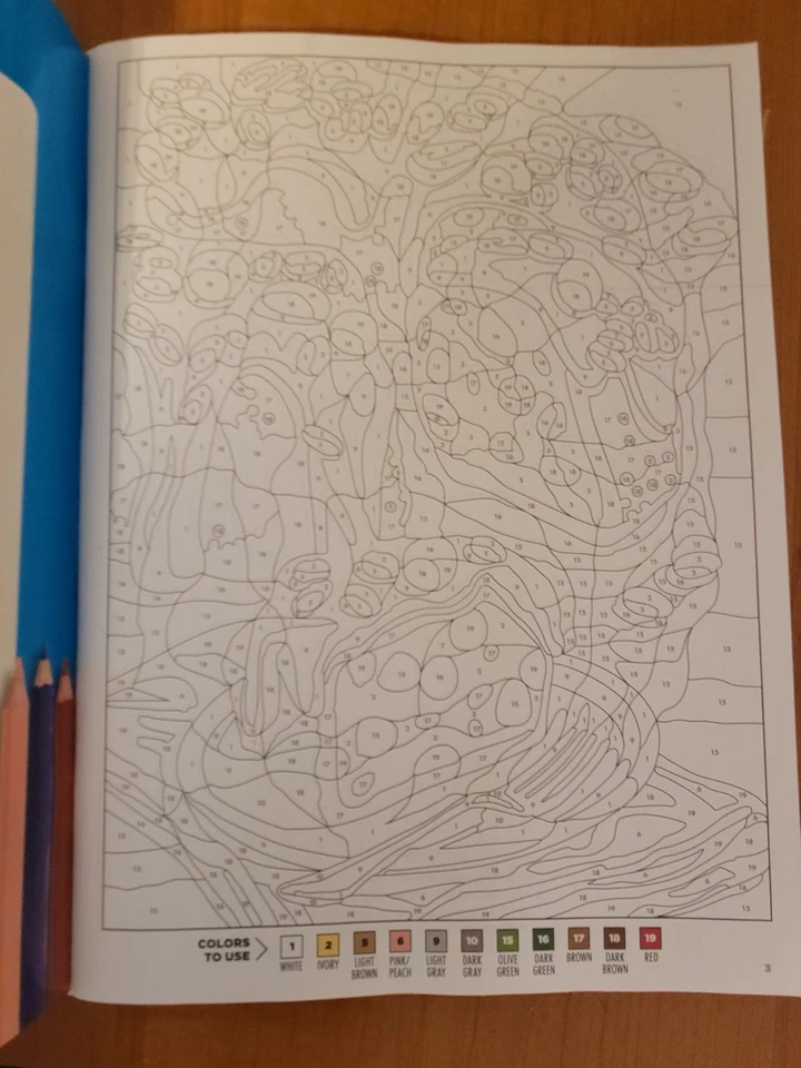 MYSTERY COLORS ADULT COLORING BOOK - Color By Number -Christmas Bear Issue- 2025 Foto 4 de 4